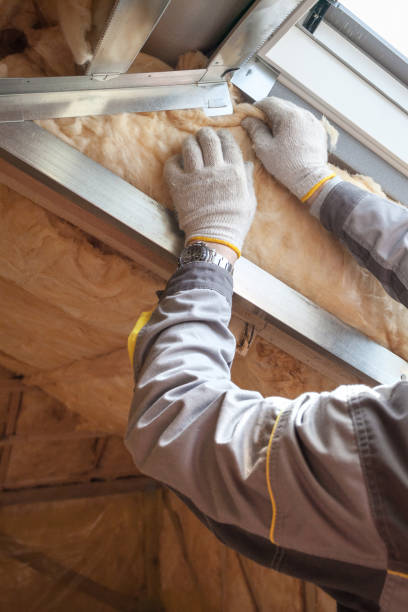Best Insulation Installation Services in Newport, NC